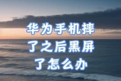 华为电脑看动画片出现黑屏怎么办？如何处理？