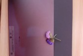 联想小新笔记本悬浮条如何设置？