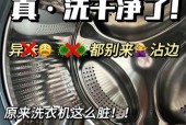 洗衣机霉臭味去除方法是什么？