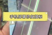 如何修复oled烧屏问题（掌握修复oled烧屏技巧）