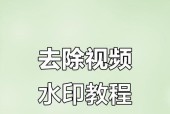 视频去水印技巧大揭秘（一招鲜）