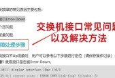 交换机问题检测方法有哪些？如何快速定位故障？