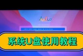 新手如何用u盘装系统？教程步骤详细解答？