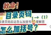 手动设置目录页码的方法是什么？如何正确进行页码设置？