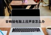 电脑扬声器没声音怎么办？设置教程来帮忙！
