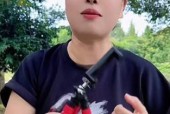 手机支架太低如何拍出好照片？