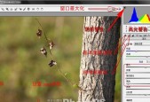 佳能raw格式图片如何查看？