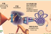 揭秘扬声器工作原理（深入探究扬声器的声音之谜）
