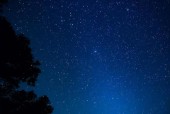 手机壳繁星闪烁是什么原因？如何解决？
