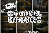如何快速增加个人粉丝（从实际出发）