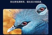 微影投影仪的正确名称是什么？