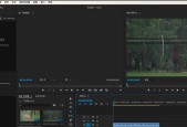 解决PR导入MP4压缩类型不受支持问题（探究导致压缩类型不受支持的原因及解决方案）
