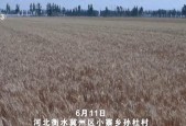 农机装上“智慧大脑”、无人机变身照明灯,科技助力“麦”向丰收
