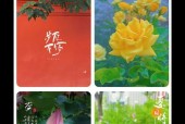 如何赞美使用苹果手机拍照的女生？