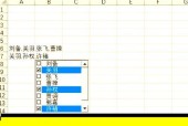 如何在Excel表格中设置多选下拉选项（轻松实现数据输入与处理）