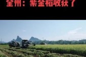全州收购苹果手机的店铺有哪些？价格公道吗？
