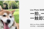 啧啧，微信刚刚这波更新，安卓鸿蒙又要傻眼了