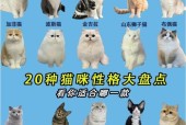 网关和猫有什么区别？