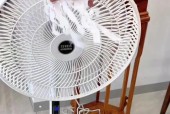 现在电风扇价格为何上涨？耐用性问题如何解决？