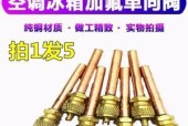 冰箱阀门清洗的正确方法（为了保持冰箱阀门的卫生和效果）