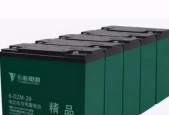 昌盛电瓶车电池性能如何？
