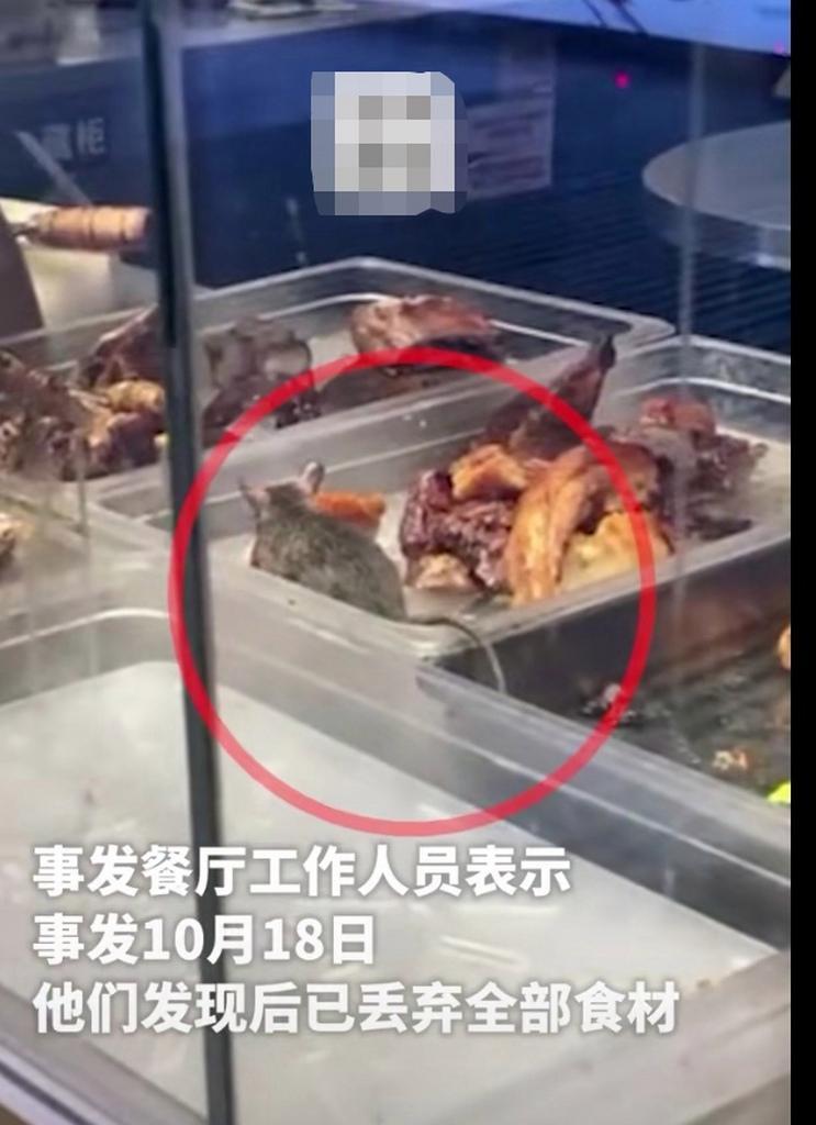 老鼠咬坏冰柜底，如何修复（保持食品安全与卫生的关键措施）  第2张