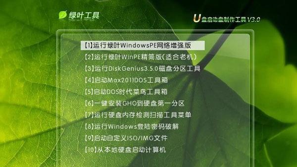 u盘dos启动盘启动不了（用u盘启动盘修复系统步骤）  第2张