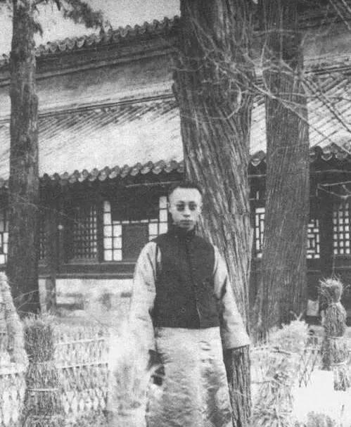 溥仪没有性功能的原因及影响（揭秘末代皇帝的性功能障碍）  第1张