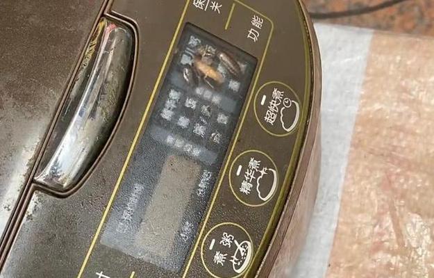 电饭煲显示屏维修指南（解决电饭煲显示屏故障的方法及技巧）  第2张