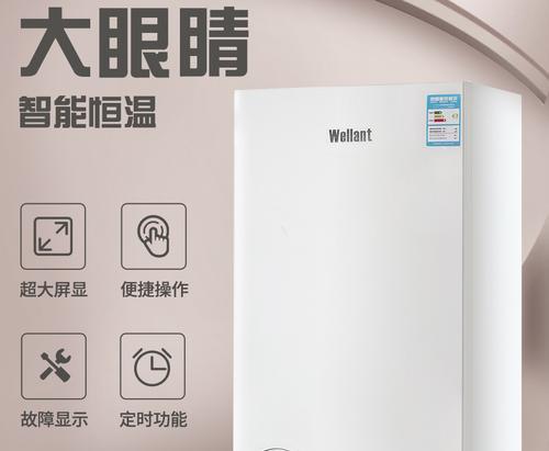 瑞能壁挂炉常见故障及解决方法（维修不再难）  第3张