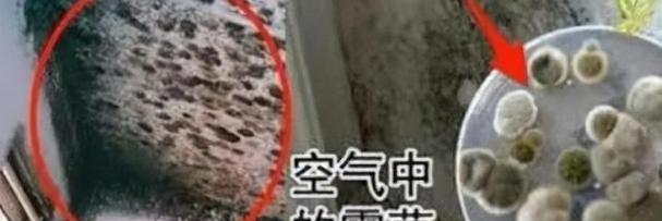 冰柜有霉味怎么办？冰柜霉味去除方法是什么？  第3张