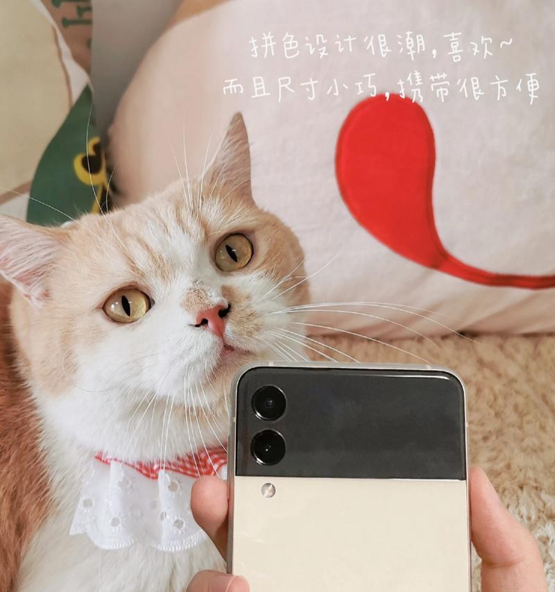手机拍照技巧如何抓拍好看照片？  第2张