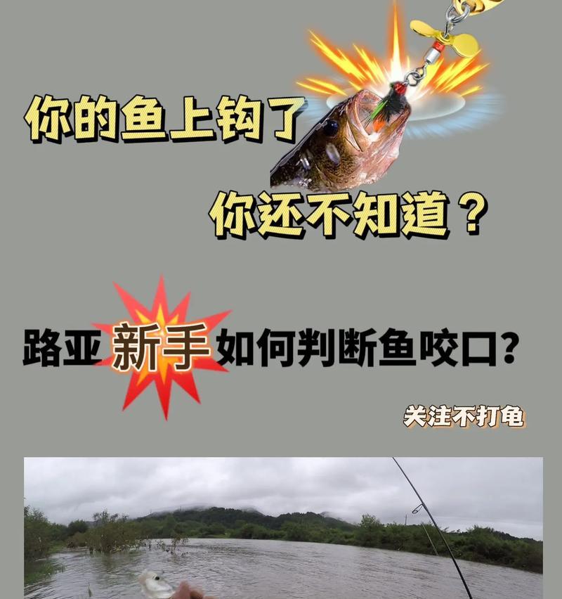 探测鱼器摄像头如何连接手机？使用中遇到问题如何解决？  第3张