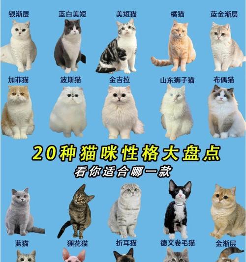 网关和猫有什么区别？  第1张