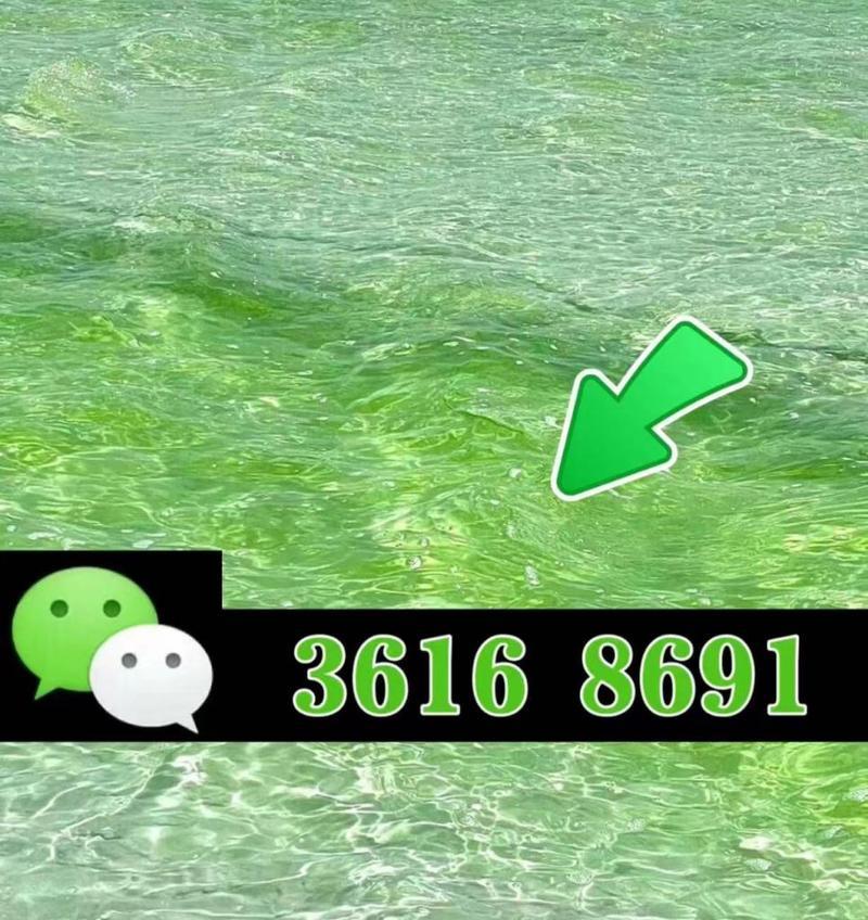 苹果手机卡金操作步骤是什么？  第2张