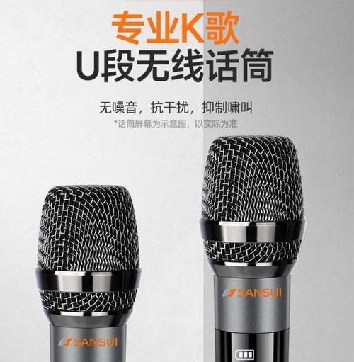 山水e2寸音响的性能和使用体验如何？  第1张