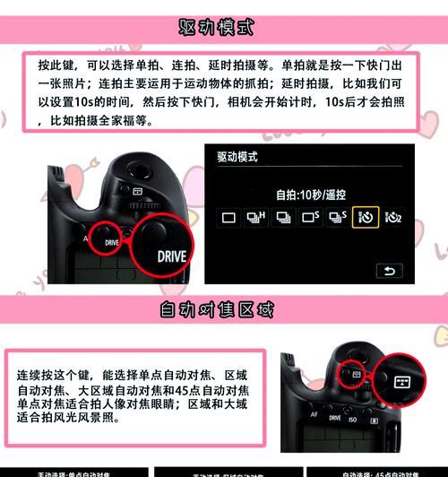 相机翻转镜头设置方法是什么？  第2张