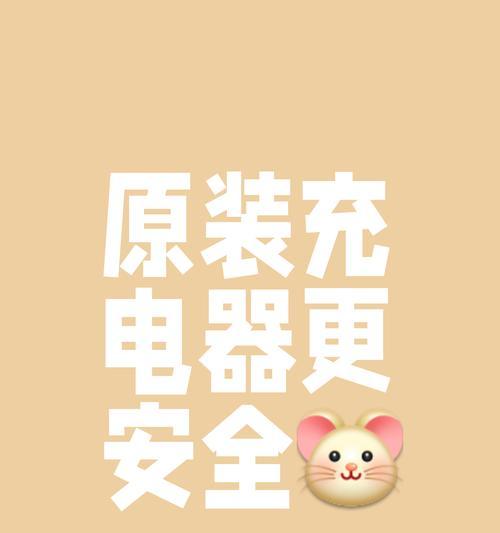 动车插口充电器使用方法？充电时应注意什么？  第2张