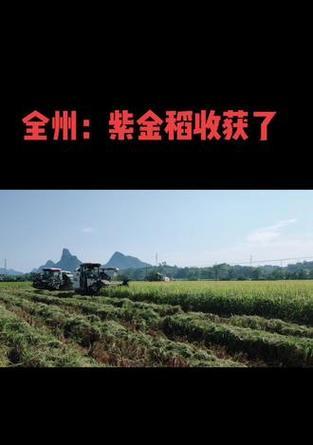 全州收购苹果手机的店铺有哪些？价格公道吗？  第1张