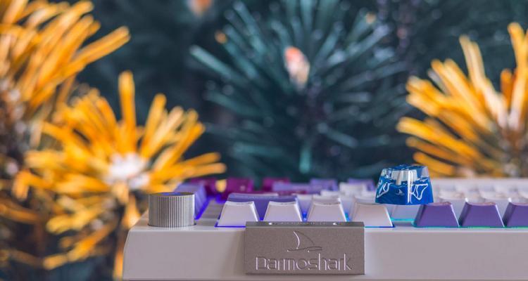 鲨鱼鳍键盘有何特点？  第3张