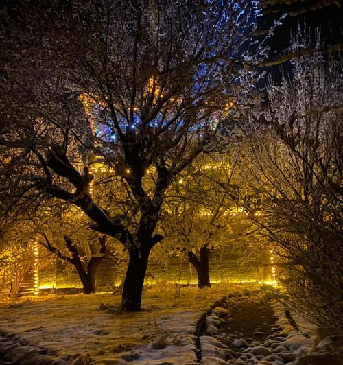 摄像机拍摄雪景的技巧有哪些？  第2张