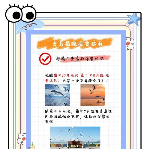 手机连接海鸥投屏的方法是什么？  第1张