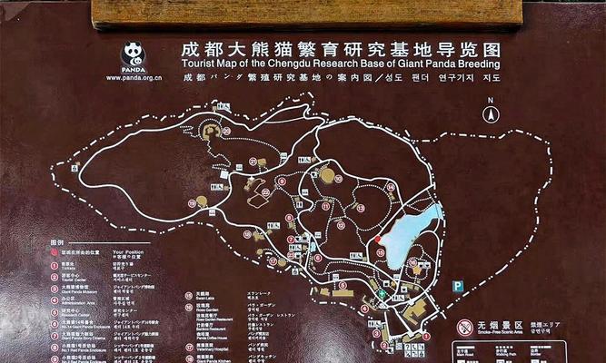 成都成华区共享电瓶车为何消失？未来规划是什么？  第2张