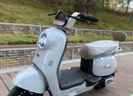 电瓶车车型识别方法有哪些？  第2张