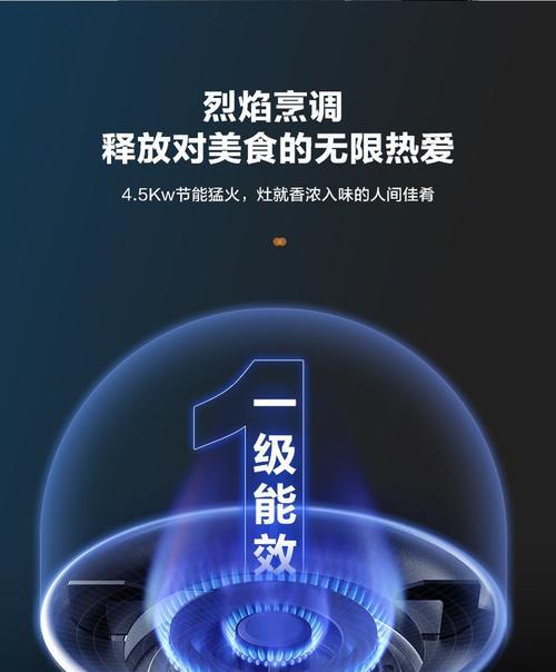 华凌烤箱b1与a1显示屏区别在哪里？  第3张