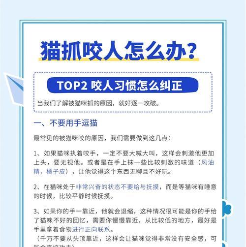 如何防止小猫咬坏数据线？  第3张