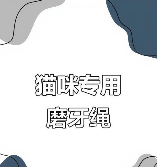 如何防止小猫咬坏数据线？  第1张