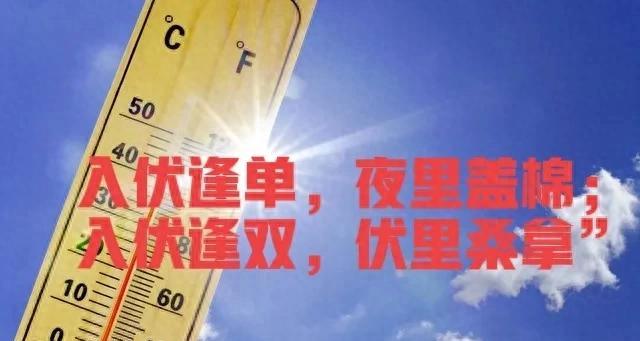 “入伏逢单，夜里盖棉；入伏逢双，伏里桑拿”，今年的入伏在哪？  第1张