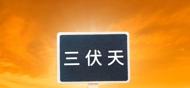 “入伏逢单，夜里盖棉；入伏逢双，伏里桑拿”，今年的入伏在哪？  第5张