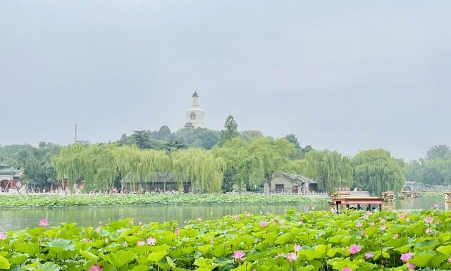 “入伏逢单，夜里盖棉；入伏逢双，伏里桑拿”，今年的入伏在哪？  第8张